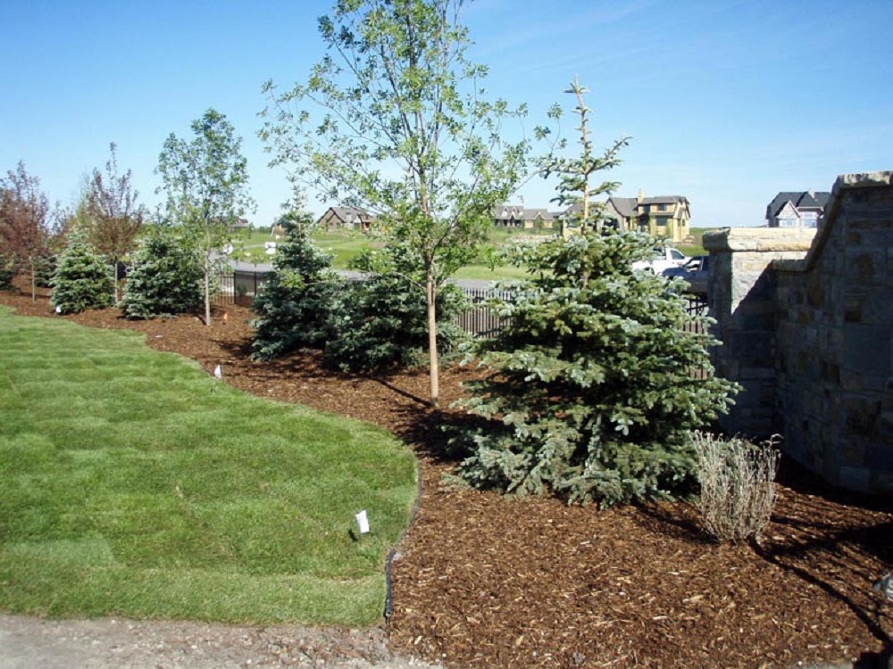Foothills Premium Mulch®