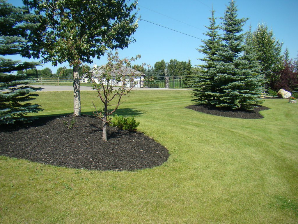Black Coloured Woodchip