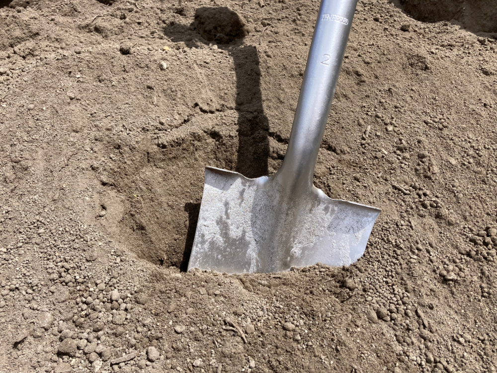 Screened Loam (Topsoil)