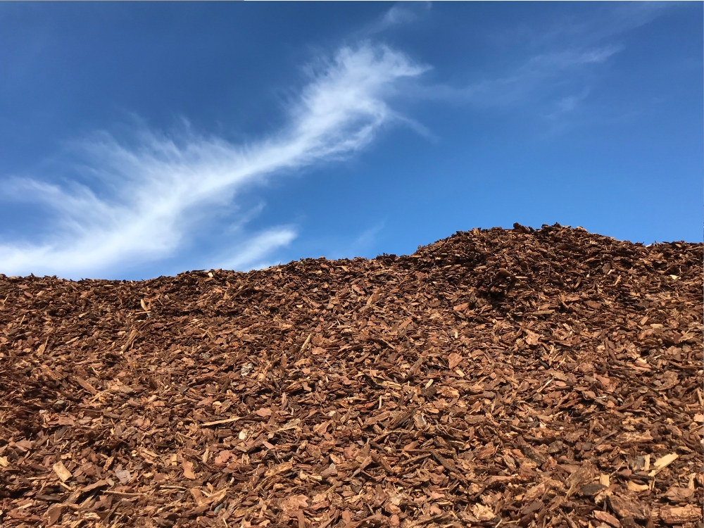 Douglas Fir Small Nugget