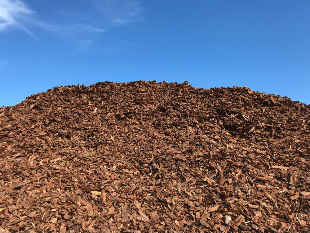 Douglas Fir Medium Nugget