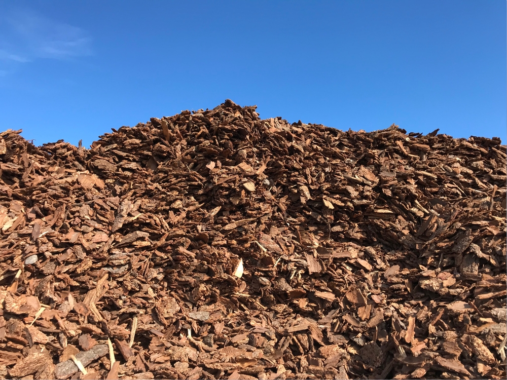 Douglas Fir Large Nugget