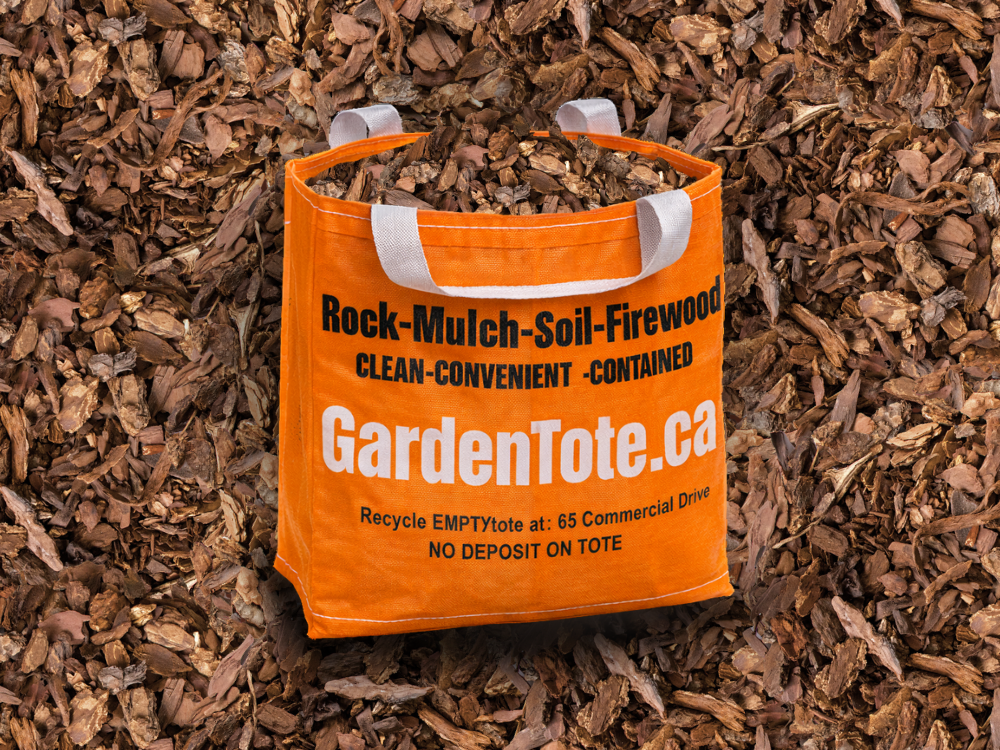 Douglas Fir Small Nugget