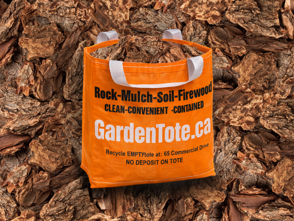 Douglas Fir Large Nugget